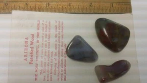 Lot of 3 ARIZONA RAINBOW PETRIFIED WOOD POLISHED LAPIDARY/GIFT - Picture 1 of 3