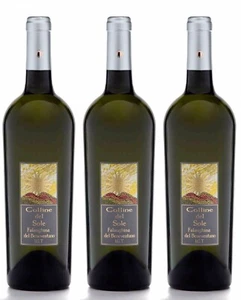 VINO BIANCO - FALANGHINA DEL BENEVENTANO I.G.T. – SCATOLA 3 BOTTIGLIE DA 75CL - Foto 1 di 7