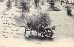 Schweiz - LES AVANTS (VD) Brouette Fleurie - Edition BURGY Lith. SAINT-IMIER - Picture 1 of 2