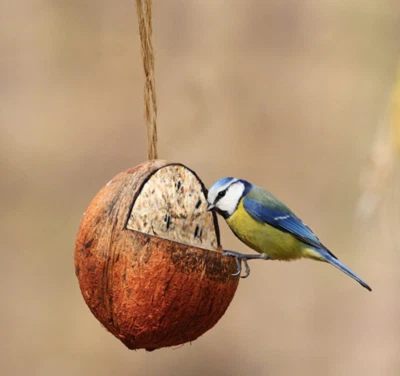 Esschert gefüllte Kokosnuss Futterstation Futterhaus Futterplatz Vogel  FB 905 - Bild 1 von 4