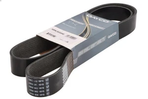 V-Ribbed Belt DAYCO 10PK1535HD - Picture 1 of 6