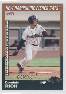 2004 Choice New Hampshire Fisher Cats Dominic Rich #09