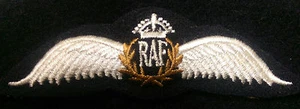 RAF Royal Air Force Piloten Brevet Kings Crown - Bild 1 von 1