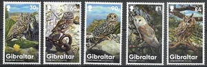 "Gibraltar - 2020 montado ""pájaros - búhos"" ¡juego completo!¡!¡! - Imagen 1 de 1