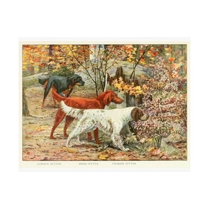 SETTER DOG Mattdruck, Vintage Hundekunst, Wohndeko, Tier  - Bild 1 von 6