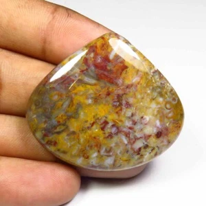 Palm Root Heart Gemstone 40x35mm Natural palm root Agate Cabs Loose 66Cts PG-122 - Picture 1 of 4