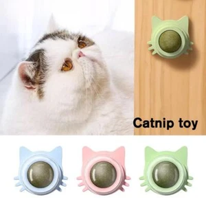 Juguetes naturales de hierba gatera para gato hoja menta gato tratamiento hierba gatera comestible NUEVO R8E0 - Imagen 1 de 22