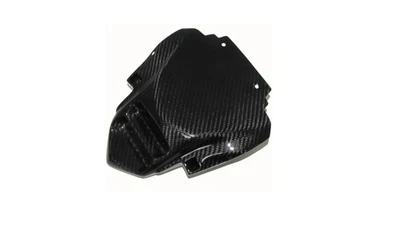 MH Carbon Sozius Abdeckung Heck für Rücklicht Passend für Suzuki B-King - Bild 1 von 3