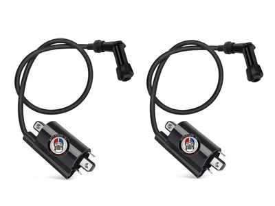 2x IGNITION COIL FOR KAWASAKI Mule 4010 Trans KAF620 4x4 (2009-2015) Foto 1 de 4