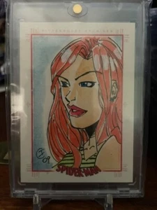2009 Spider Man Archives Mary Jane Watson SketchaFEX 1/1 Igor Cicarini Sketch. - Picture 1 of 2
