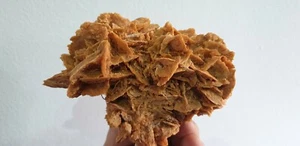 Rosa de Yeso. Gypsum rose, 11x7cm. La Almarcha. Cuenca, Spain - Imagen 1 de 3
