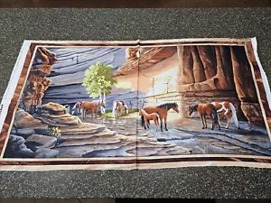 Sundance Panel 23x42 Lane Kendrick Quilting Treasures Block - Picture 1 of 7