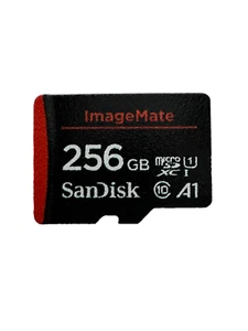 SanDisk 256GB Karta Micro SD-Gaming Plus do przełącznika-wyze-GoPro-Dash Cam (używana) - Zdjęcie 1 z 4