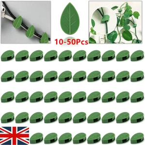 50Pcs Plant Wall Clips Climbing Invisible Fixture Hook Clip,Vine Sticky Vines UK - Picture 1 of 22
