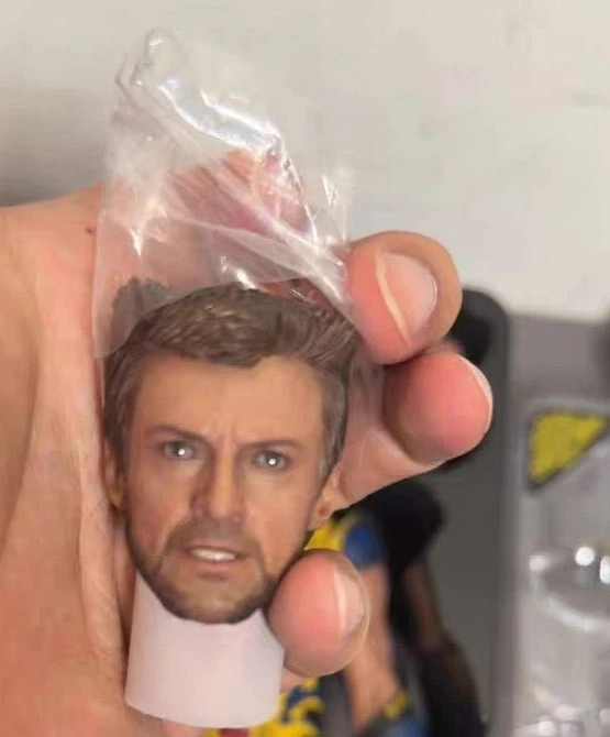 1/6 Only Head Sculpt Figure HT MMS754 Hot Toys Deadpool Wolverine Collectible - Image 1 of 1