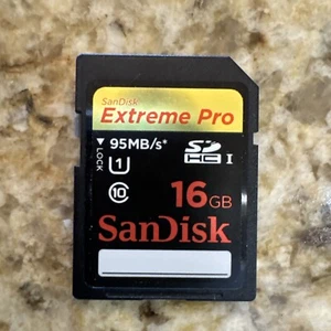 SANDISK EXTREME PRO 16GB FULL SIZE SDHC MEMORY CARD - CLASS 10 - 95MB/S NWOB - Picture 1 of 1