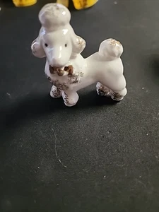 Vintage Small White Poodle Figurine With Gold Touches - Picture 1 of 5