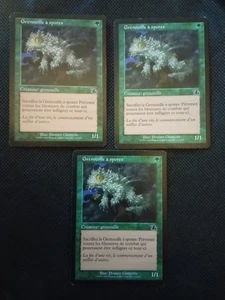SET X 3 Sporenfrosch / Spore Frog FRENCH LP Prophecy magic mtg - Bild 1 von 1
