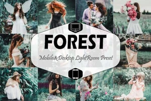 Forest Lightroom Preset Collection For Mobile and Desktop - Picture 1 of 10