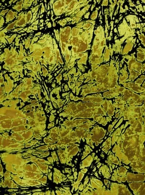 Sun Stone by Paula Nadelstern Design Green Fabric Print Cotton 1/2 Yard - Image 1 of 2