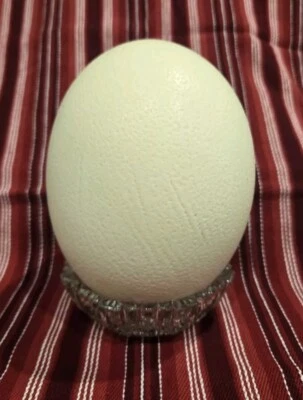 Gran cáscara de huevo de avestruz soplada para pintar, tallar, decoración artesanal Foto 1 de 4