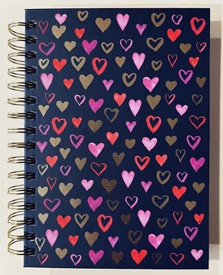 Punch Studio Hardcover Spiral Notebook Journal 250 Lined Pages Hearts Blue NEW - Image 1 of 4