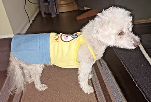 Hundekleid Sonnenkleid für Mädchen kleine Rasse Hunde Größe XL in OVP zwei lieferbar - Bild 1 von 7