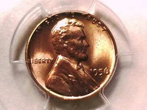 1956 P Lincoln Wheat Cent PCGS MS 66 RD 36401443 Error Die Crack Chips Skull - Picture 1 of 3
