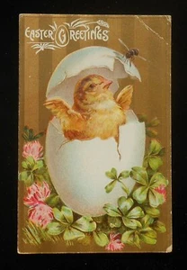 1909 Easter Greetings Just Hatched Baby Chick with a Fly on Its Egg Postcard - Picture 1 of 1