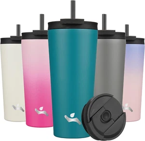 22 OZ Insulated Tumbler with Lid and 2 Straws Stainless Steel Water Bottle Vacuu - Picture 1 of 12