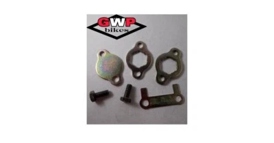 Keeway Superlight 125 K-light piñón delantero retención bloqueo lengüeta placa  Foto 1 de 4