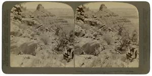 Grand Canyon, Arizona Stereoansicht vom Bright Angel Trail, 1904, Underwood - Bild 1 von 2