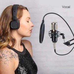ZINGYOU Condenser Audio Microphone Bundle BM-800 Mic w/filters Studio Recording - Picture 1 of 10