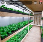 40ft Shipping Container Farm Hydroponic Urban Farming Closed Farming