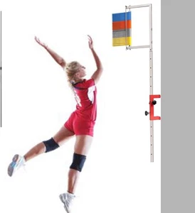 Profi Wandmontierter vertikaler Sprungtester mit Resetstange, Volleyball/Basketball - Bild 1 von 7
