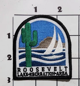 Roosevelt Lake Arizona Patch Vintage Embroidered Sew On Travel Saguaro Cactus - Picture 1 of 1