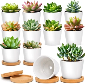 6.5CM Small White Succulent Planter Pots with Bamboo Tray round Set of 12, Ceram - Picture 1 of 9