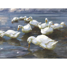 Koester Ducks Lake Birds Nature Painting Large Canvas Art Print