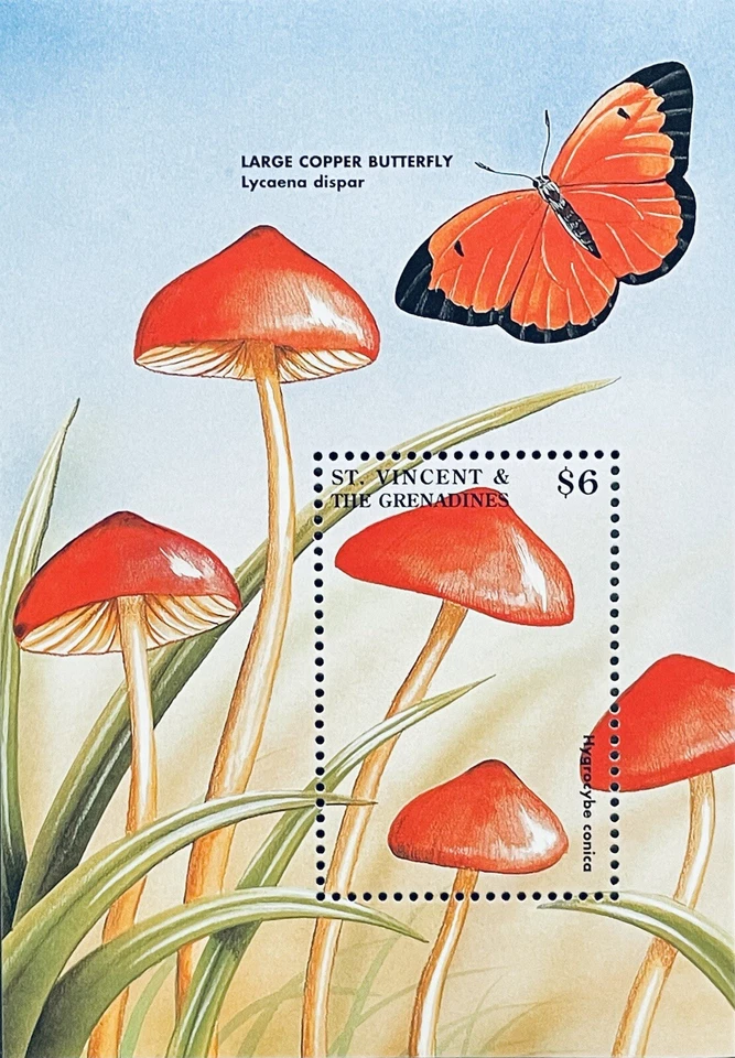 ST VINCENT MUSHROOMS STAMPS 1998 MNH FUNGI FUNGUS WILDLIFE BUTTERFLY TOADSTOOL 3 - Image 1 of 1