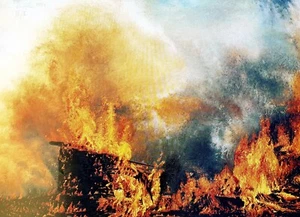 KARIN KNEFFEL Originalgrafik handsigniert Nr. VII/X Feuer, Schülerin von Richter - Bild 1 von 4