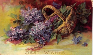 AK: Beste Wünsche, Korb mit lila Blumen, geprägt, verschickt 1910 - Bild 1 von 2