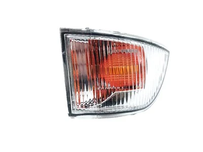 Freccia Specchio Indicatore Destra per Specchietto Laterale Adatto A Iveco - Immagine 1 di 4