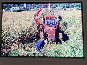 Same Tractor Working in Field 35mm Amateur Slide Vintage  - Picture 1 of 3