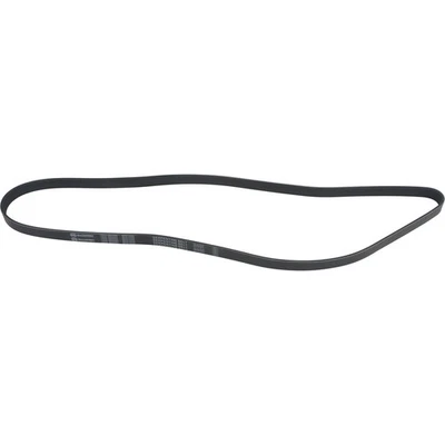 Cinturón Serpentine Para Selectos Asuna BMW Chevrolet Isuzu Toyota Modelos 1602-360260 Foto 1 de 4