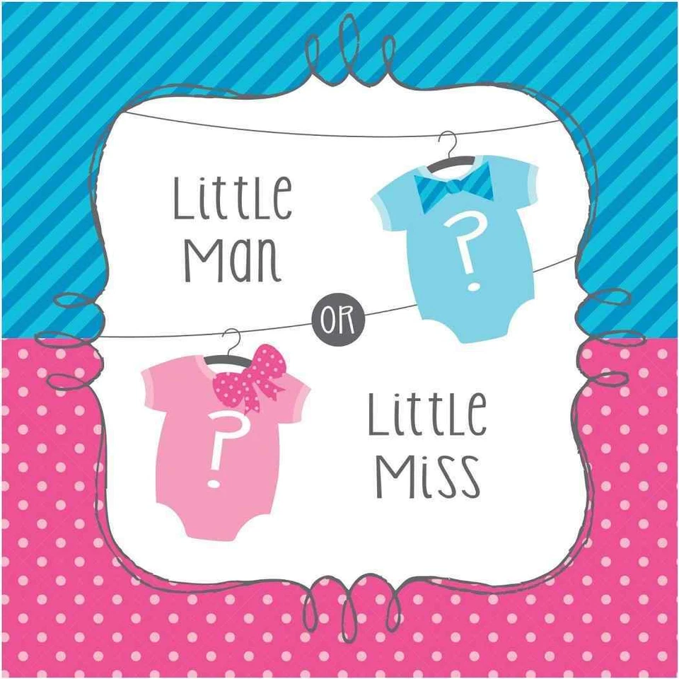 Bow or Bowtie? Gender Reveal Pink Blue Baby Shower Party Paper Luncheon Napkins - Image 1 of 1