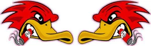 Hotrod Birds Decal - Picture 1 of 5
