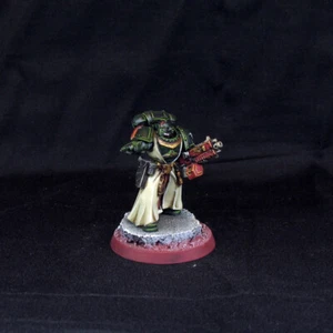 Pro painted Warhammer 40k Dark Angels Primaris Lieutenant B - Picture 1 of 9