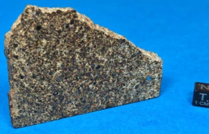 72.7 GR. SLICE MOUNT TAZERZAIT L5 CHONDRITE METEORITE FALL - Picture 1 of 2