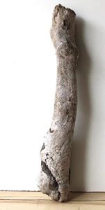 Madera flotante Driftwood 1 tronco XL nudoso decoración manualidades 81 cm - Imagen 1 de 16