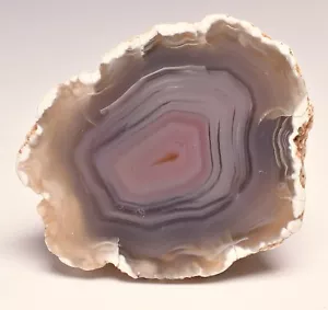 AGATE CREEK, AGATE HALF, POLISHED, AUSTRALIA P731 - Bild 1 von 4